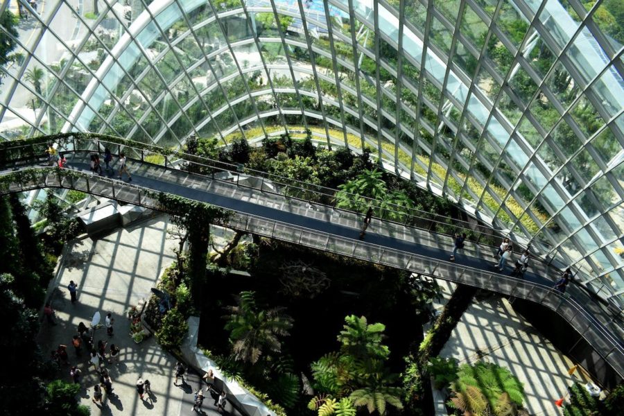 green indoor walkway sustainable built environment example